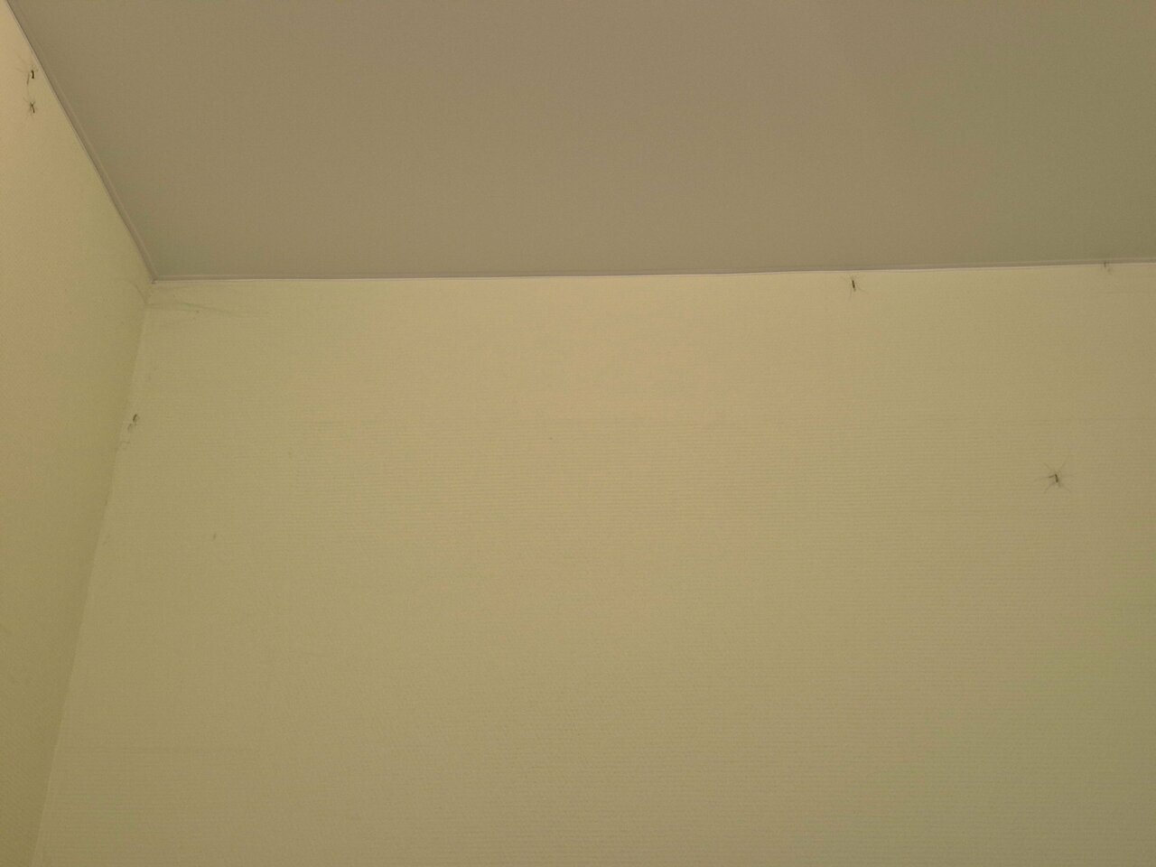 Гостиница Малахитовая Нижний Тагил-77