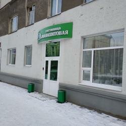 Гостиница Малахитовая Нижний Тагил-37